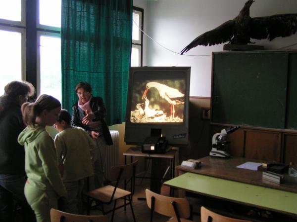 PICT0799 (web)
